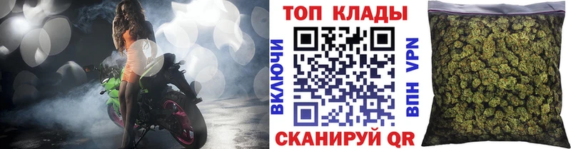 Псилоцибиновые грибы Ессентуки