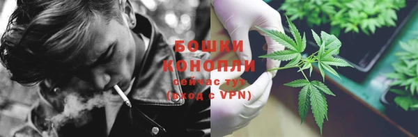 прущая мука Корсаков