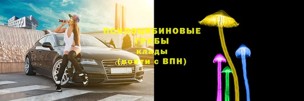 прущая мука Корсаков