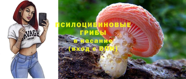 круглые Коряжма