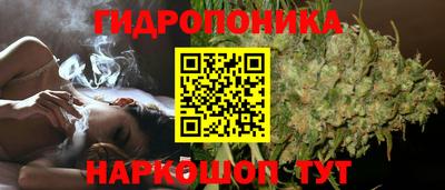 эйфоретик Бузулук