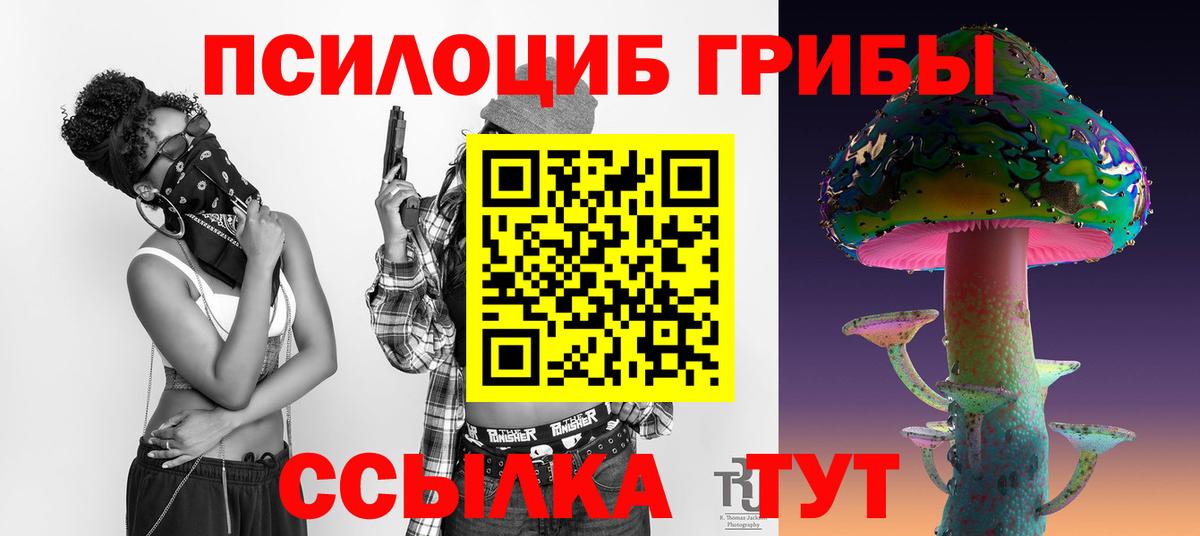 Псилоцибиновые грибы мицелий  Ессентуки 